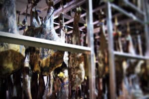 Prix du pata negra - ibericoexport