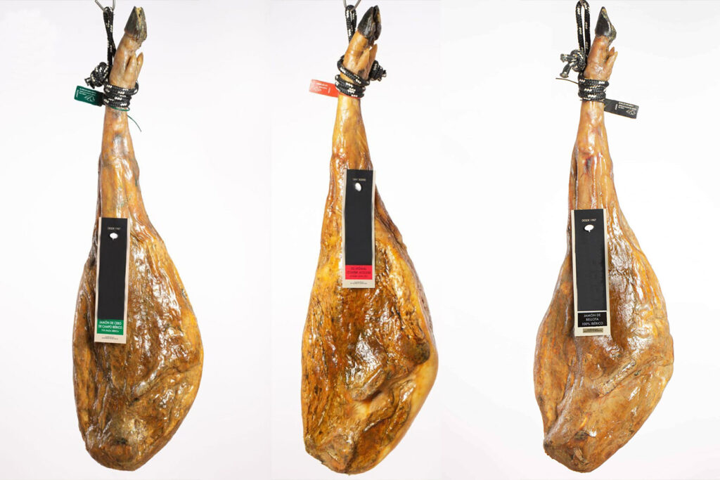 Comparatif des prix au kilo du Pata Negra : Comment distinguer les bonnes affaires 7 prix au kilo du pata negra